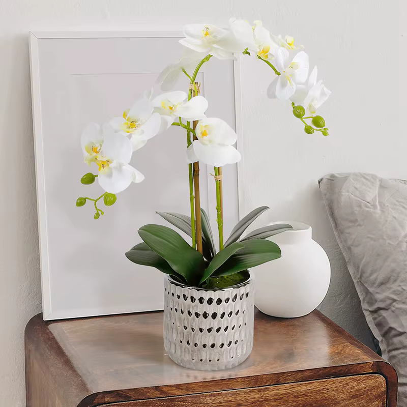 Bouquet de Fleurs Artificielles Phalaenopsis sulfBranches
