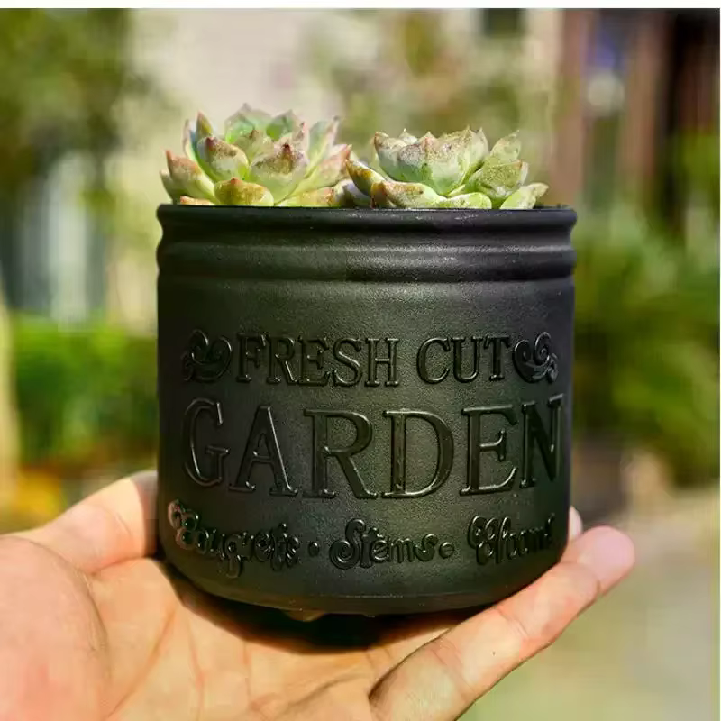 Pot de fleurs rond pour plantes succulentes