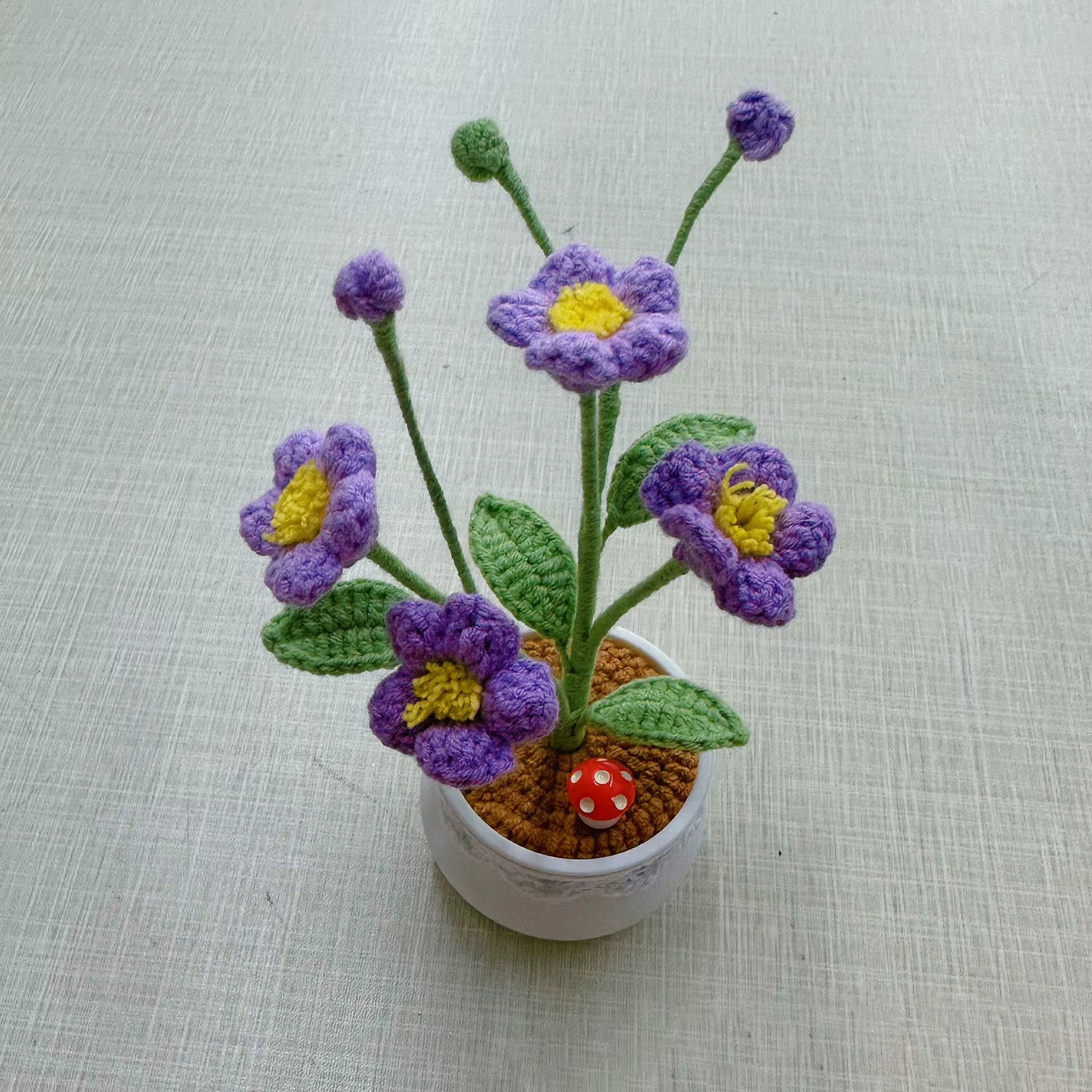 Pot de plante en crochet Oxalis fini à la main