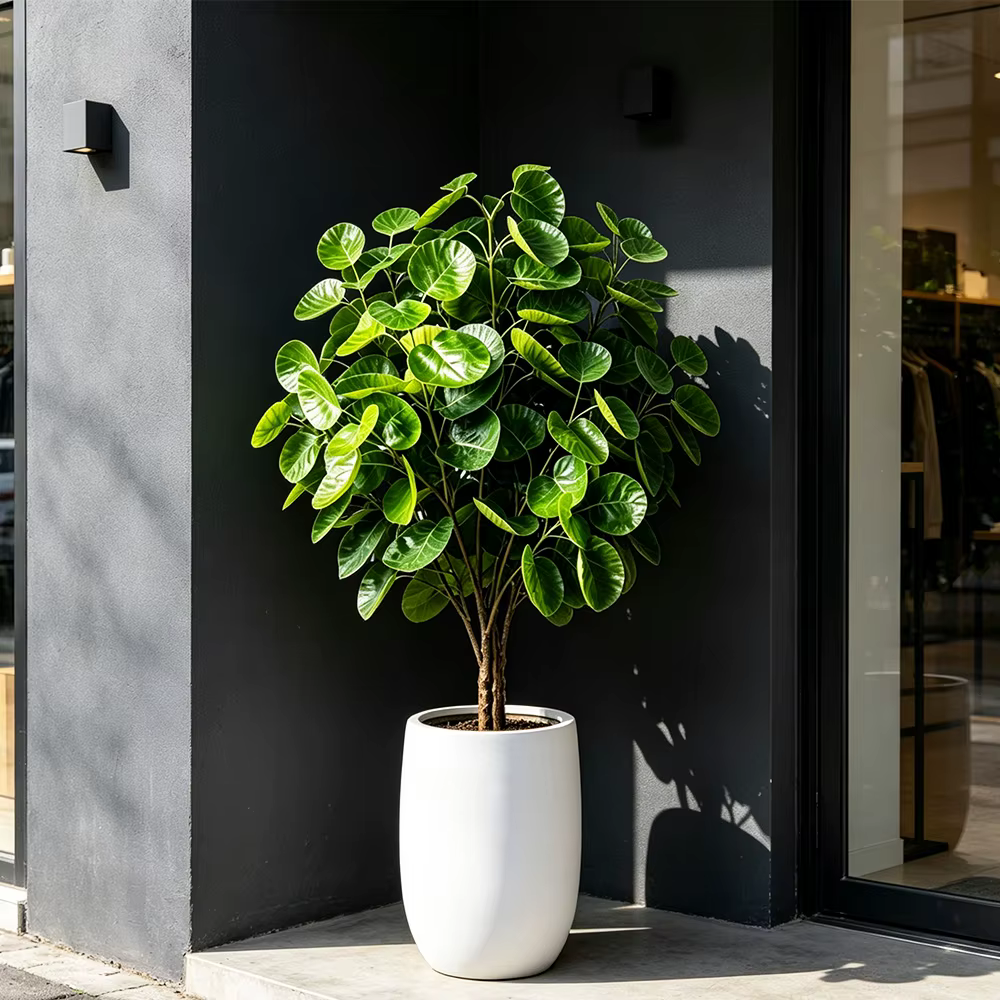 Grandes plantes artificielles d'eucalyptus de 45-95 cm