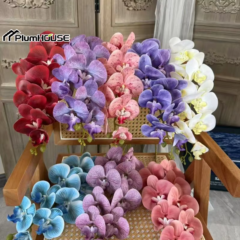 Phalaenopsis artificiel