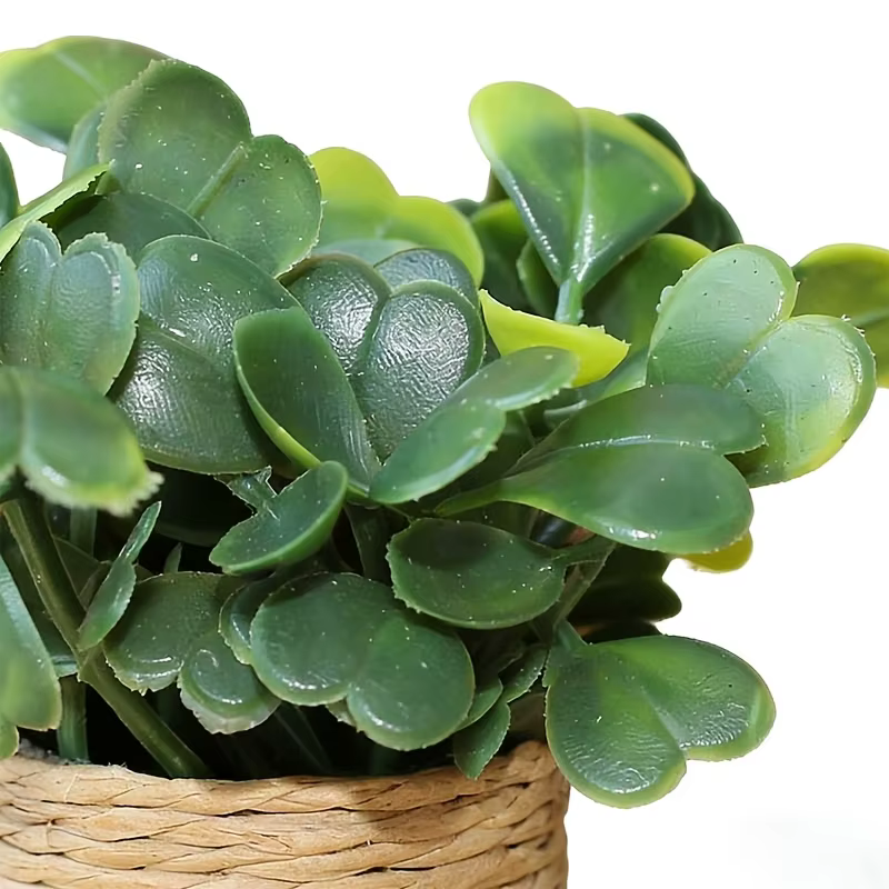 Plantes artificielles en pot, mini-plantes mignonnes en pot, paysage miniature adapté à l'intérieur, à l'extérieur, à la maison, à la cuisine, au bureau