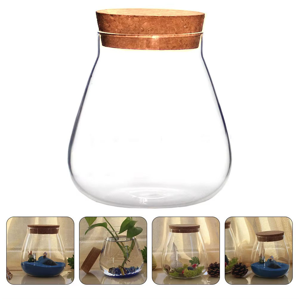 Bocaux de Terrarium en Verre avec Bouchon de Liège