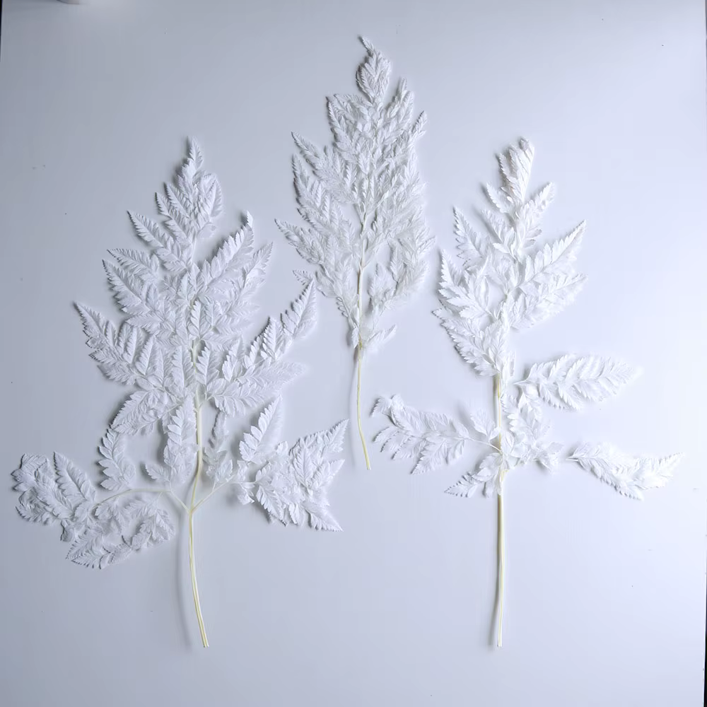 Feuille de fougère alpine