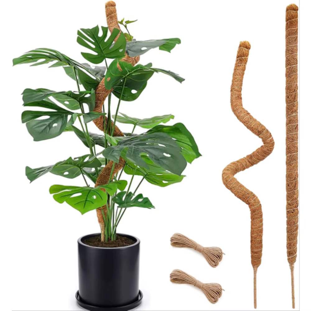 Support de plante Monstera pliable en mousse