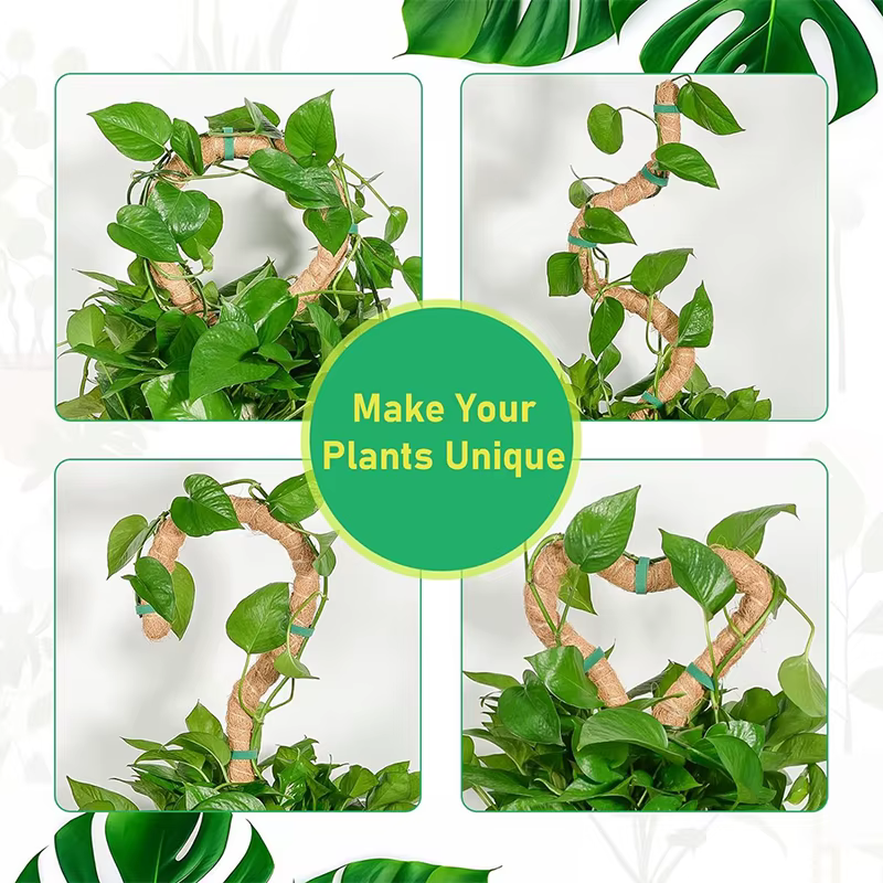 Plantes pliables Support d'escalade plante mousse coir pôle bas