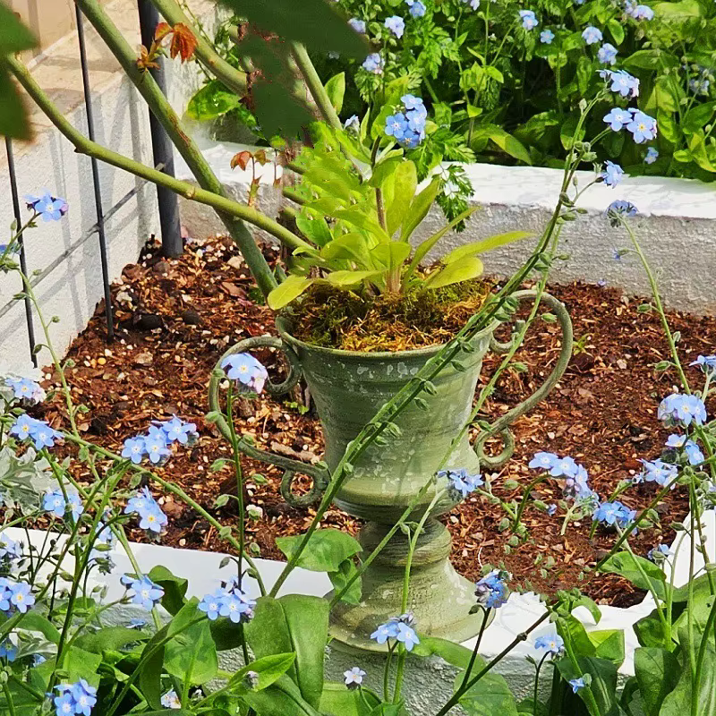 Pot de fleurs trophée à bouche ronde à double oreille