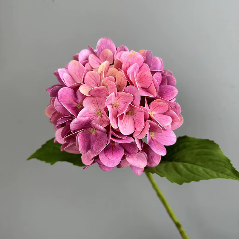 Fleurs d'hortensia artificielles réalistes