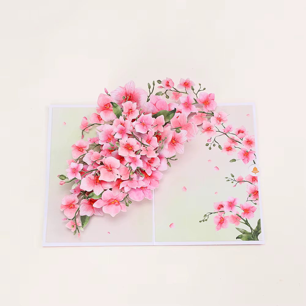 Cartes de vœux en fleurs de Phalaenopsis
