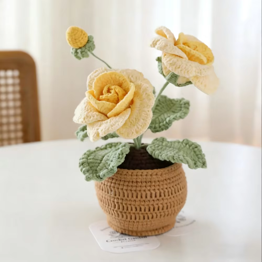 Plante en pot de roses à quatre feuilles et à deux têtes