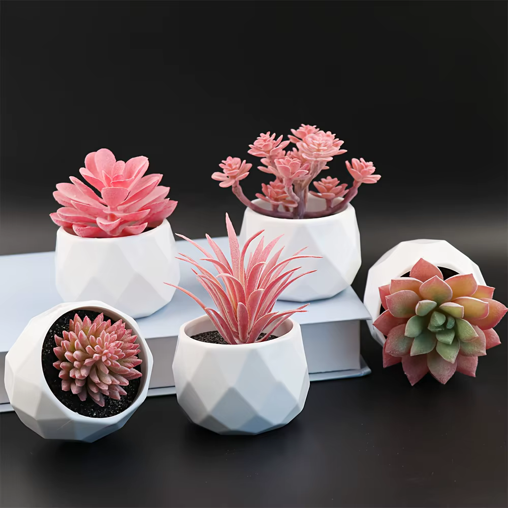 5 mini-plantes succulentes artificielles réalistes avec pot