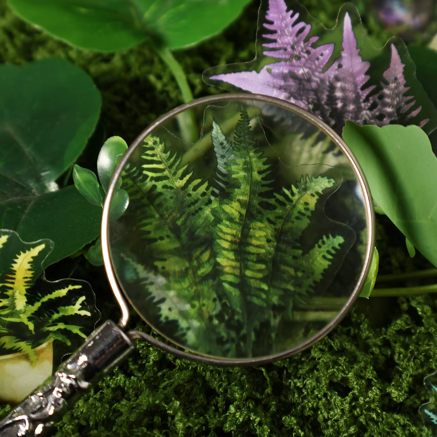 Autocollant feuilles de plantes
