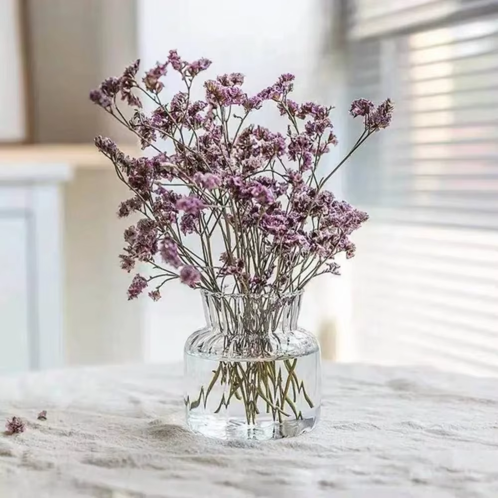 Vases transparents créatifs nordiques