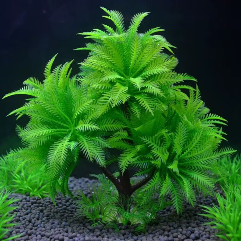 Simulation décorative d'aquarium plante eau aquatique herbe visualisation feuilles artificielles sous-marines plantes