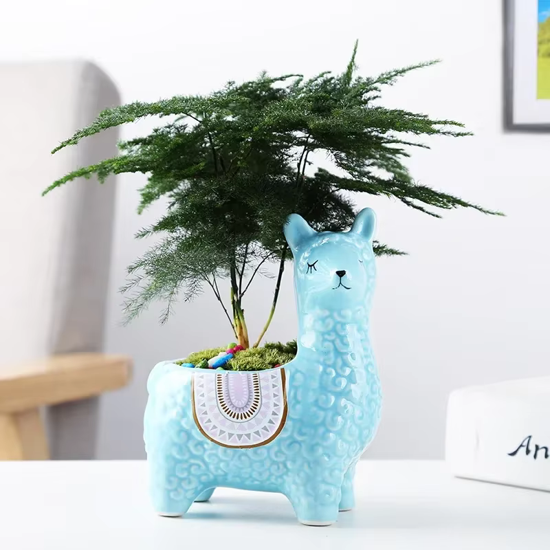 Pot de fleur succulente en alpaga