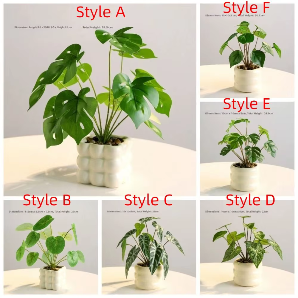 Plantes artificielles réalistes bonsaï élégant Simulation de la vie éternelle plante verte