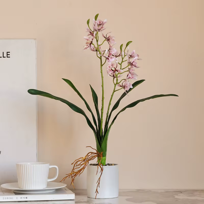 Orchidée papillon au toucher de la main avec feuilles