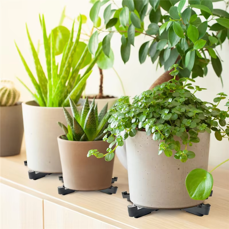 Pour jardinières extérieures pour 24 pieds de Pot