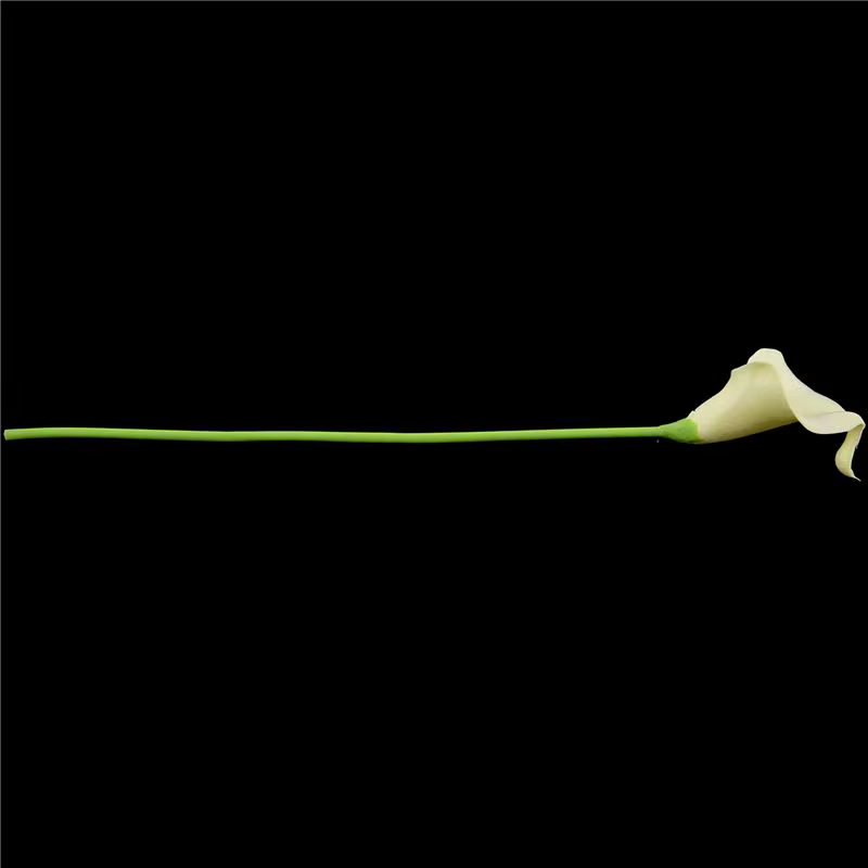 72X Fleurs artificielles de lys Calla à longue tige