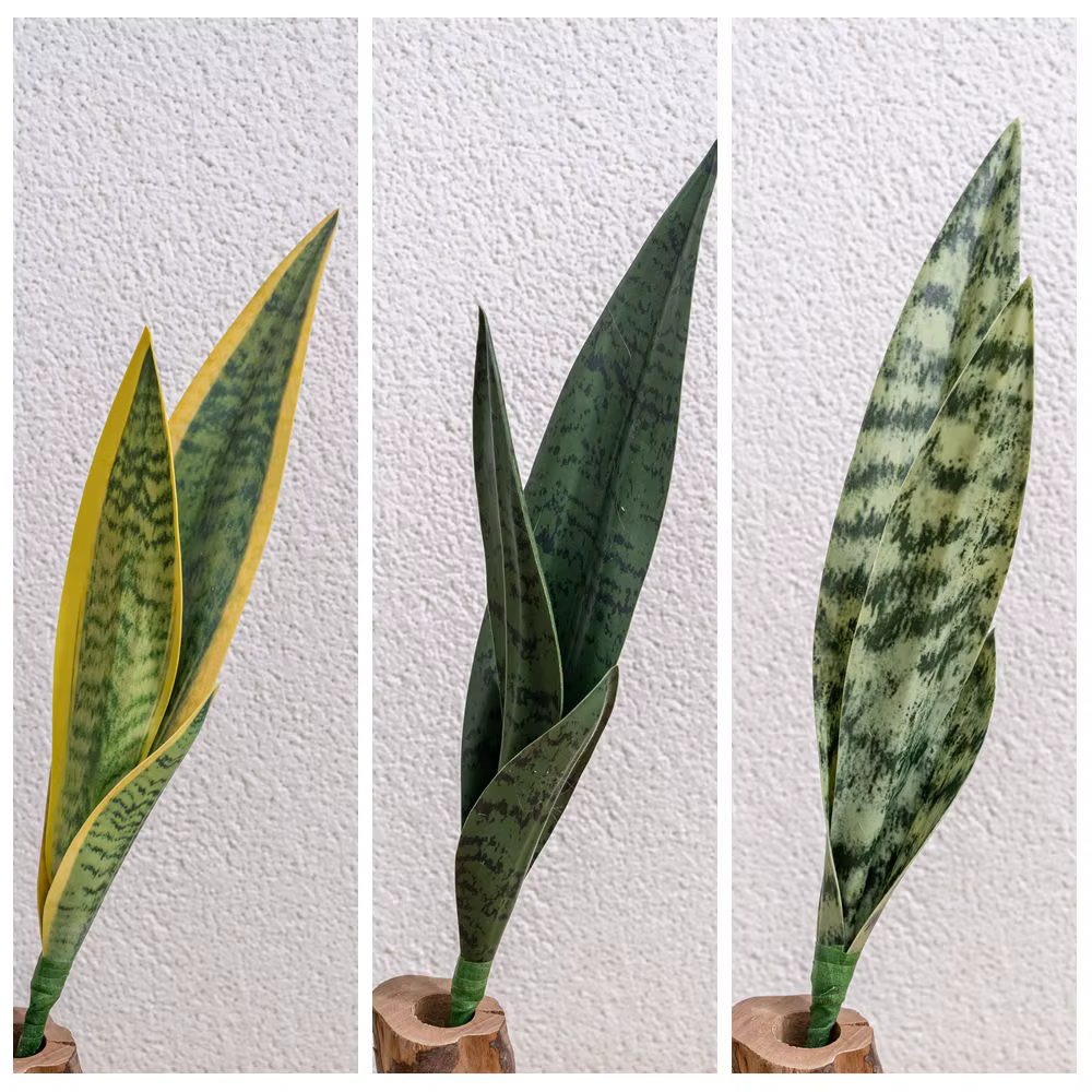 Plante serpent artificielle