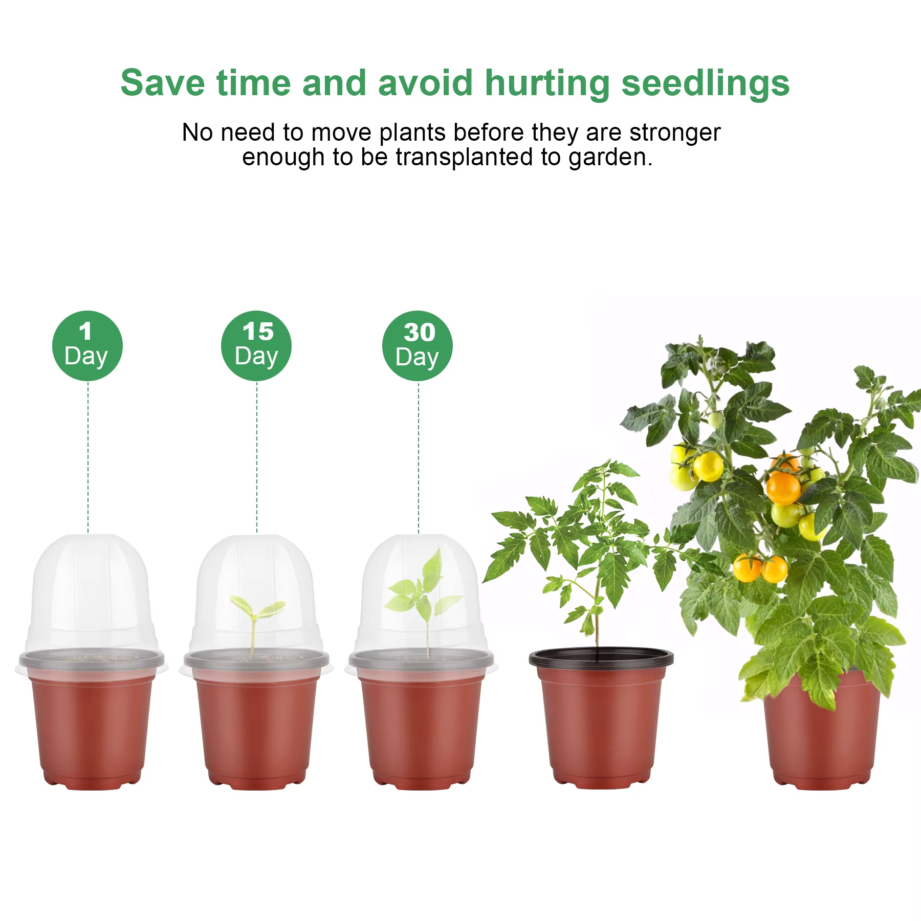 Pots de pépinière pour plantes avec dôme d'humidité