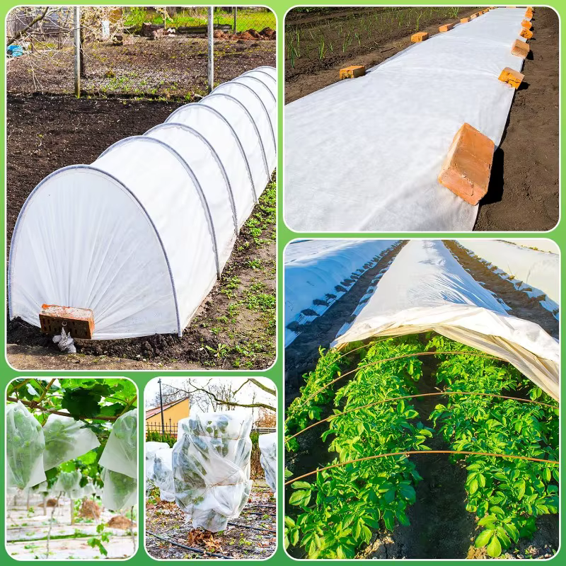 Couvertures pour plantes flottantes