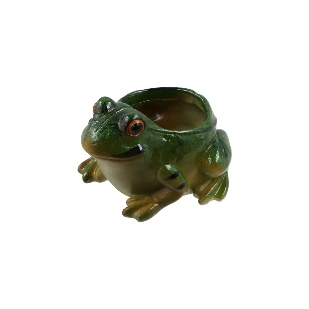 Pots de plantes succulentes grenouille en résine créative