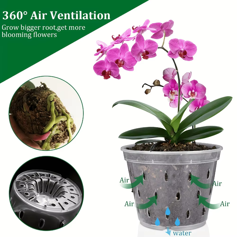Lot de 3 pots en plastique pour orchidées