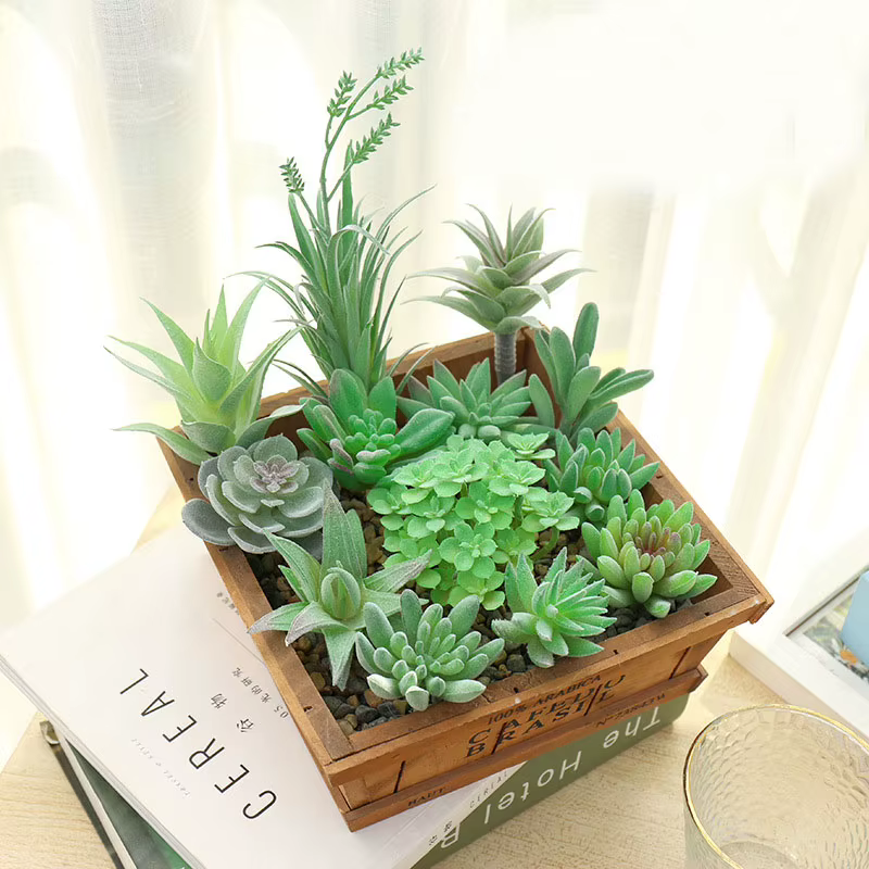 Plantes succulentes artificielles floquées vertes