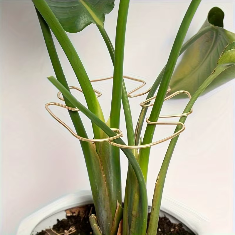 Grand support pour plantes suspendues