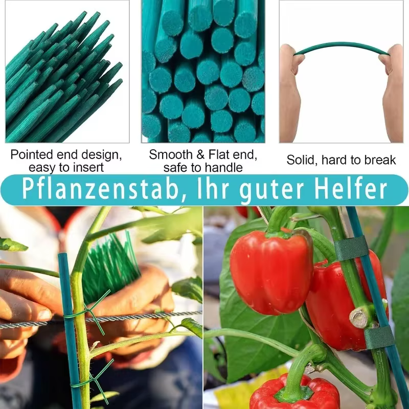 Tuteurs réutilisables pour plantes