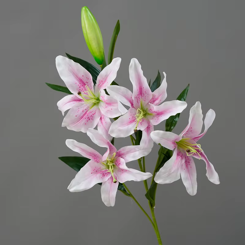 Simulation de fleur de lys à 5 têtes