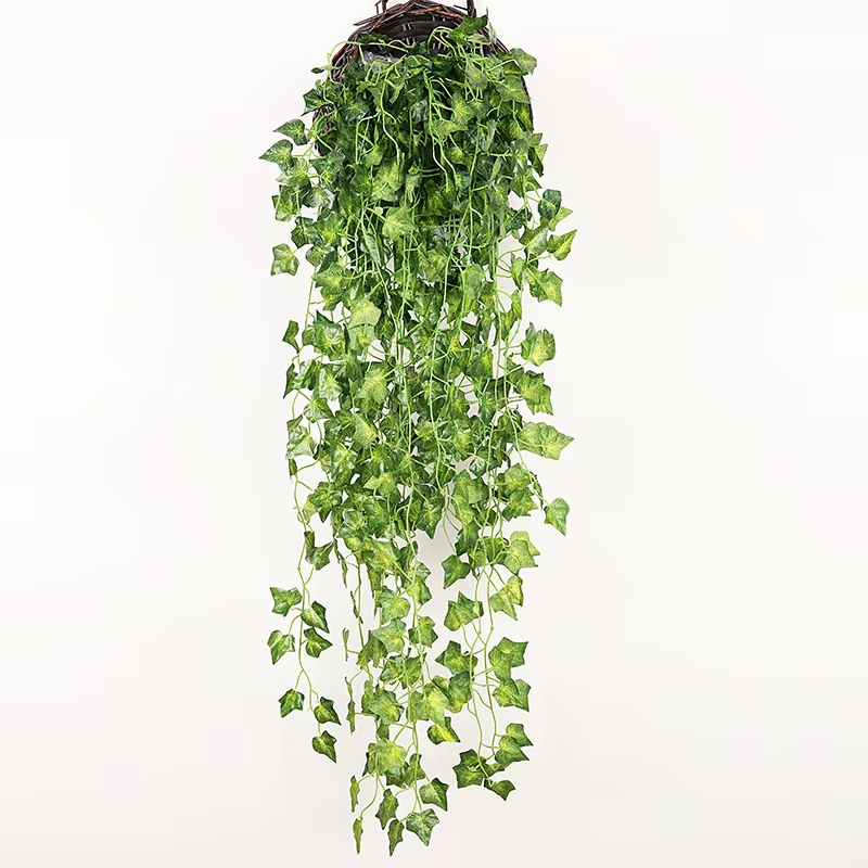Plantes vertes artificielles suspendues