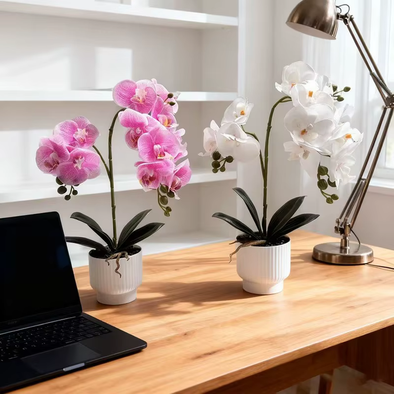 2 fourchettes 12 fleurs papillon orchidée bonsaï maison bureau