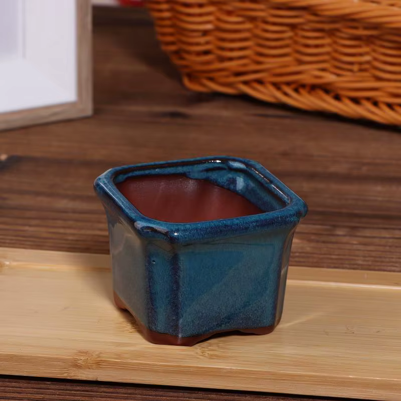Pots de plantes en céramique