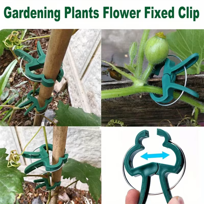 10/30 pièces de pinces de jardin réutilisables