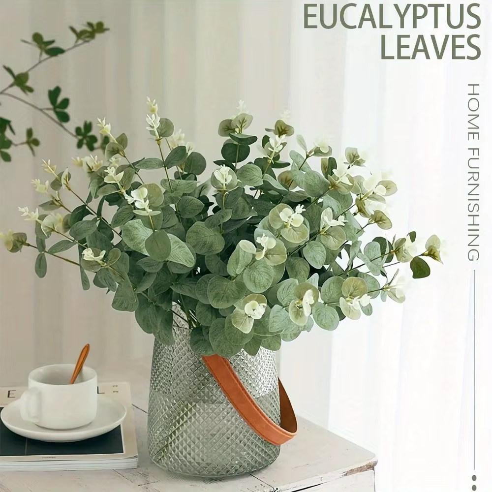 Tiges de feuilles d'eucalyptus