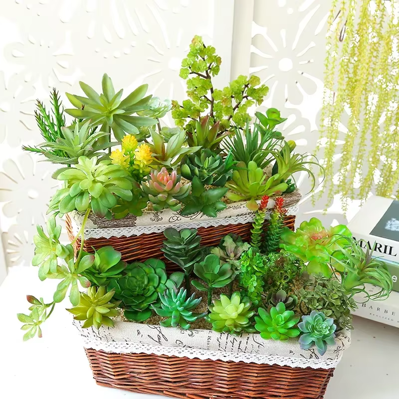 Plantes succulentes artificielles vertes bonsaï