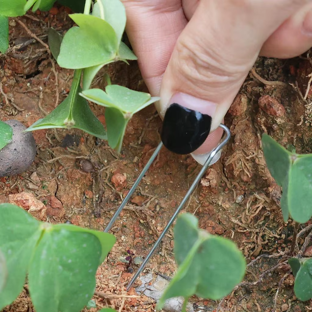 Clips de fixation portables et compacts pour jardinage - Pinces de support de plantes galvanisées en forme de M