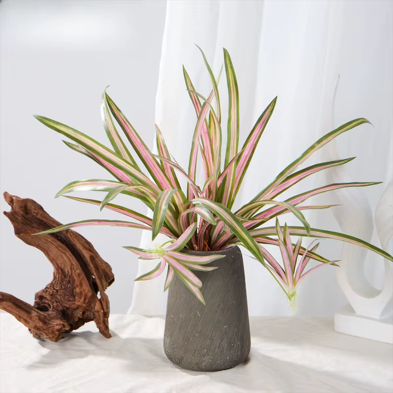 Lot de 5 plantes artificielles Chlorophytum Comosum roses