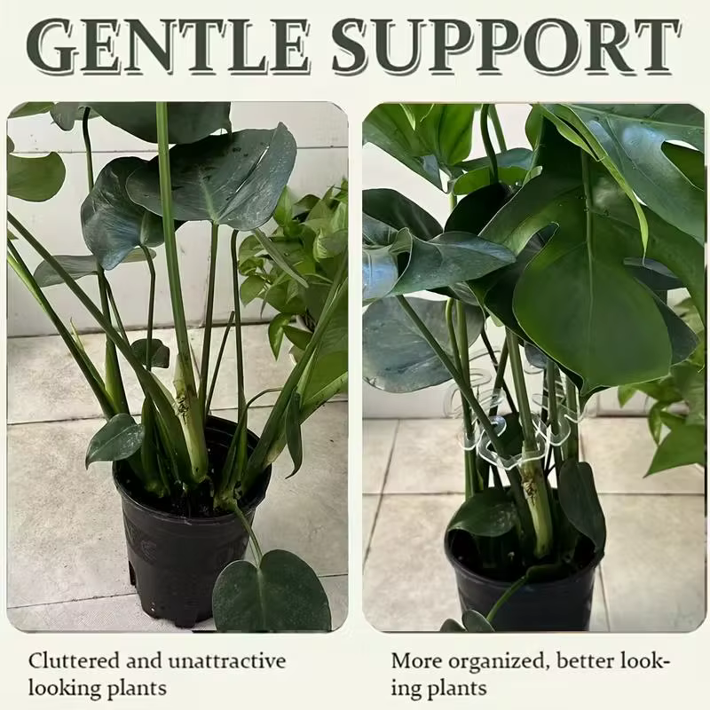 Lot de 10 pinces de support de plantes transparentes et flexibles