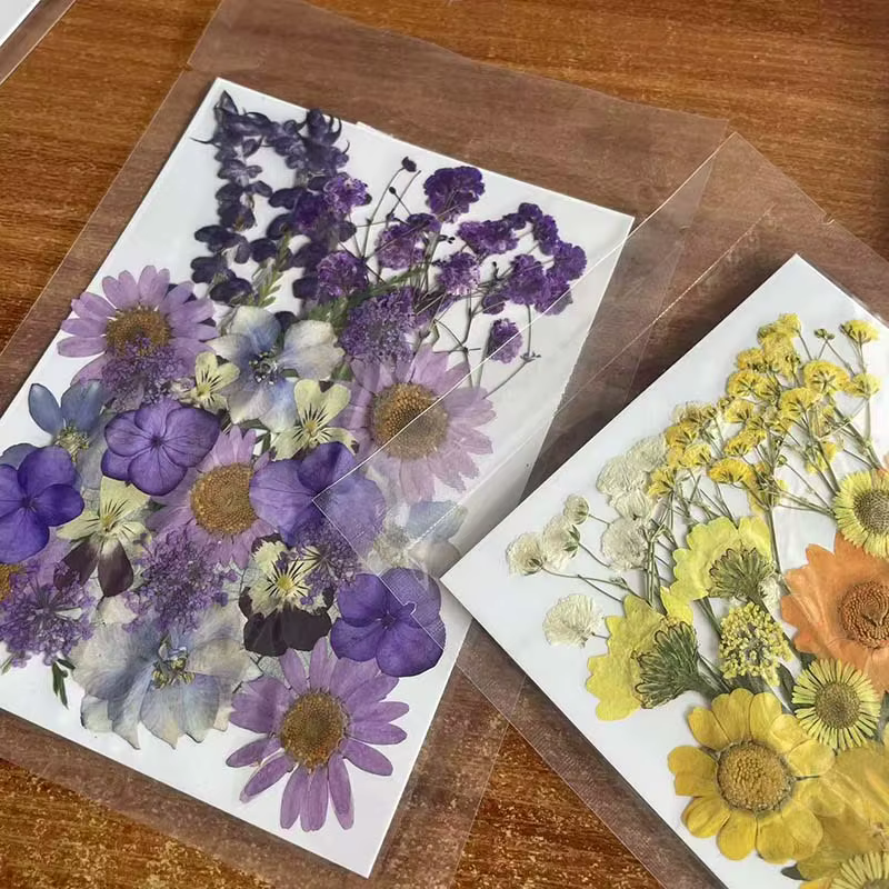 Kit de matériaux combinés de feuilles de fleurs séchées