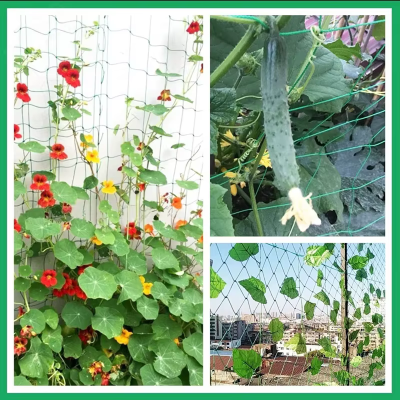 Nouvelle treillis de plantes robuste en polyester et nylon
