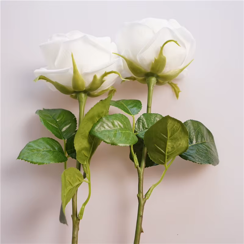 Simulation de fleurs de rose au toucher réel