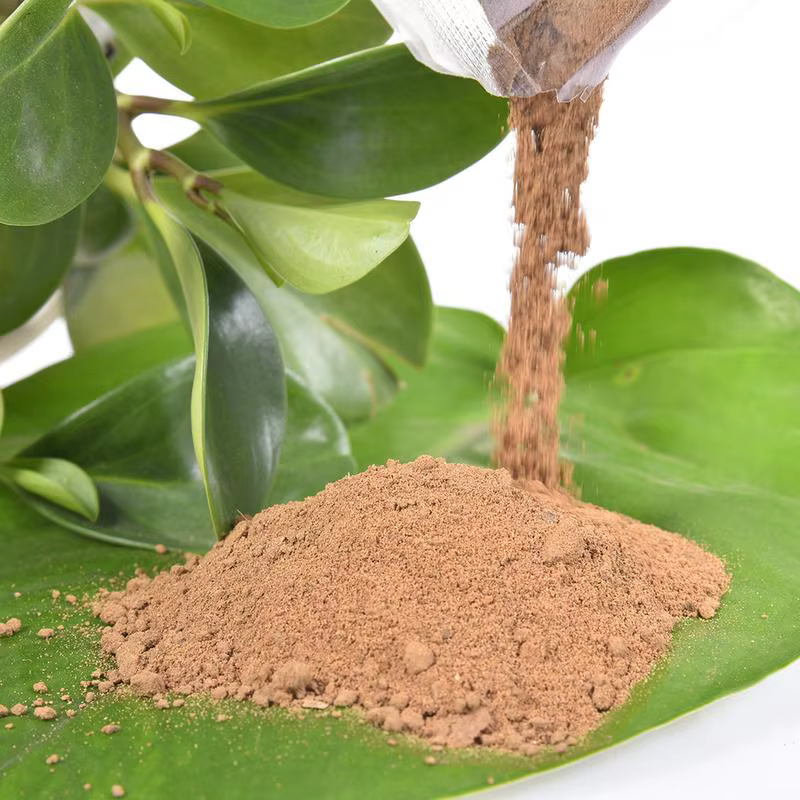 Sol en argile nutritif pour plantes d'étang