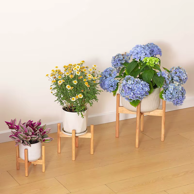 Support pour plantes en bois massif