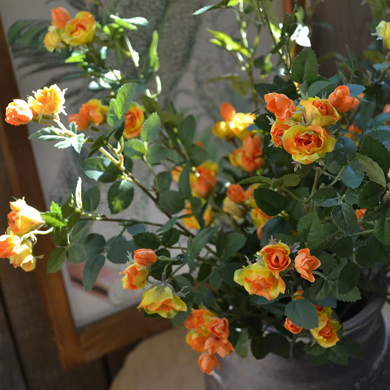 Mini Bouquet de roses, plantes