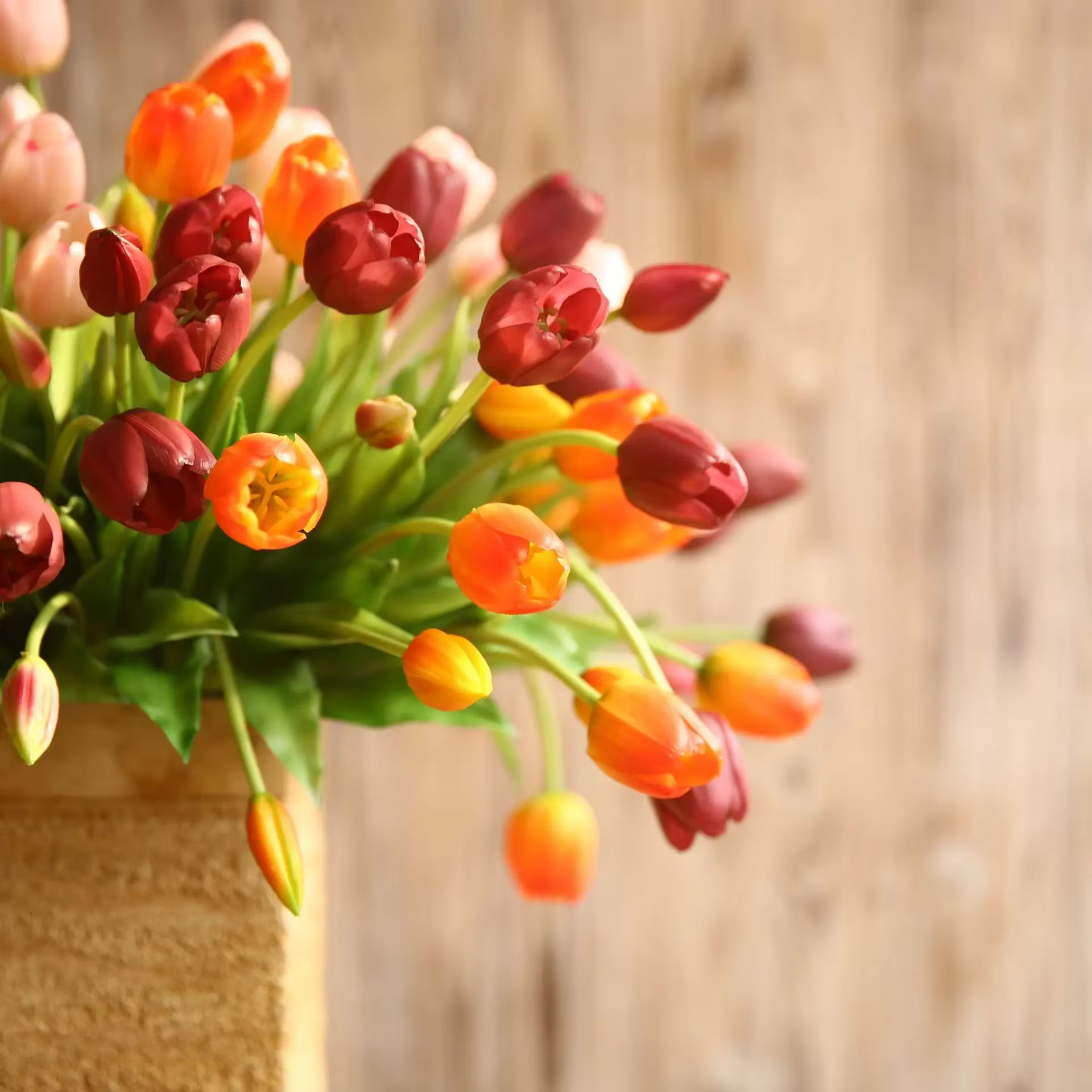 Bouquet de tulipes à cinq têtes hydratantes de haute qualité