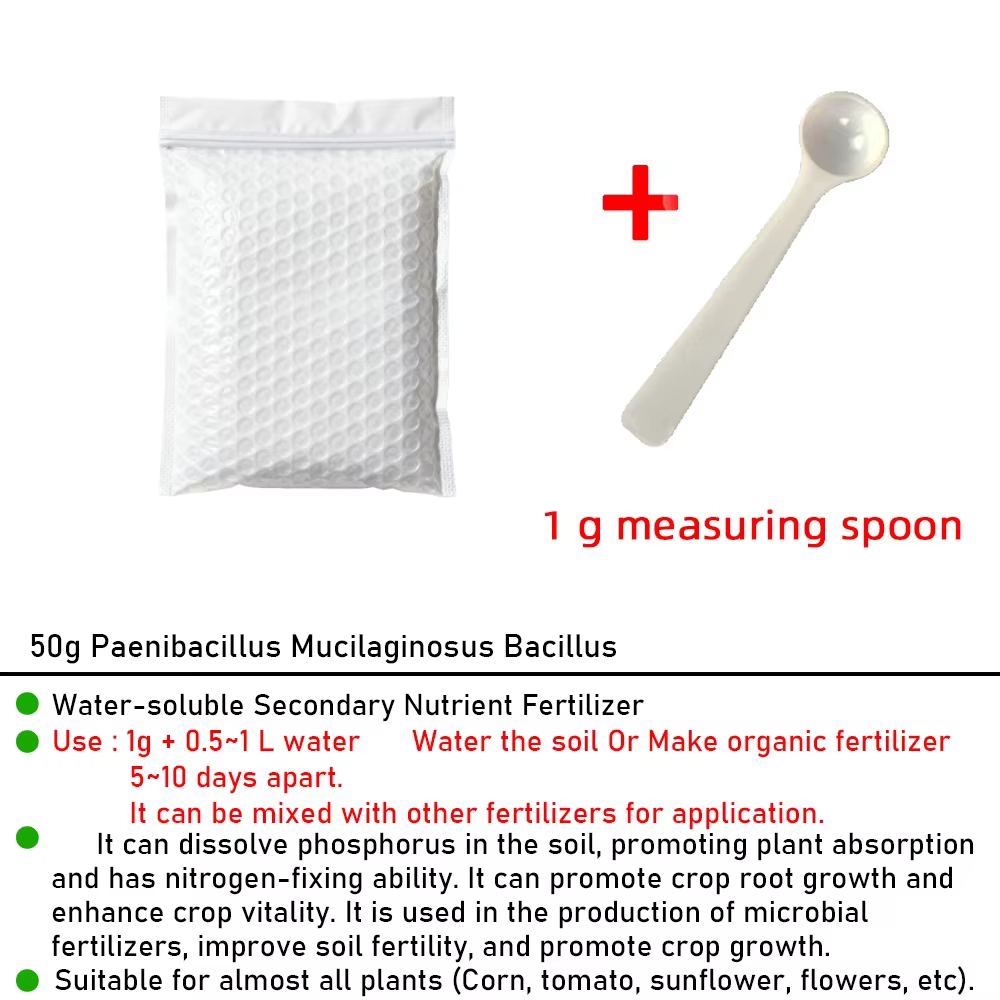 Engrais Microbien Organique Paenibacillus Mucilaginosus Bacillus 50g pour la Fertilité du Sol