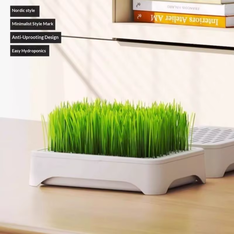 ㈅ Bac de culture hydroponique pour herbe à chat, pot de semis de blé sans terre, dispositif hydroponique pour herbe pour chatons, pot de culture horticole
